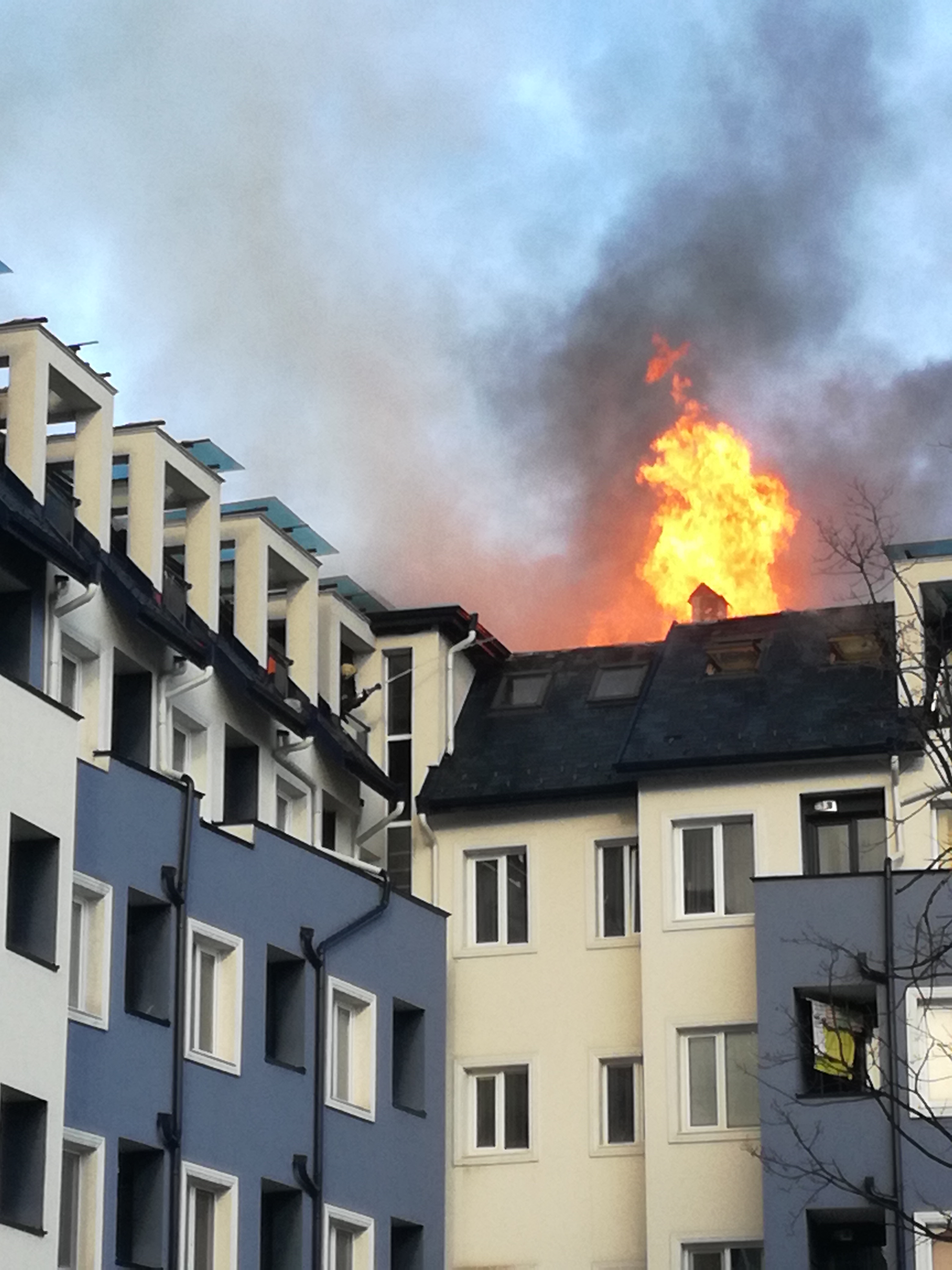 Голям пожар в сграда в Студентски град (снимки, видео)
