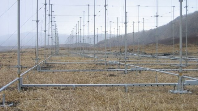 ”Подсолнух”