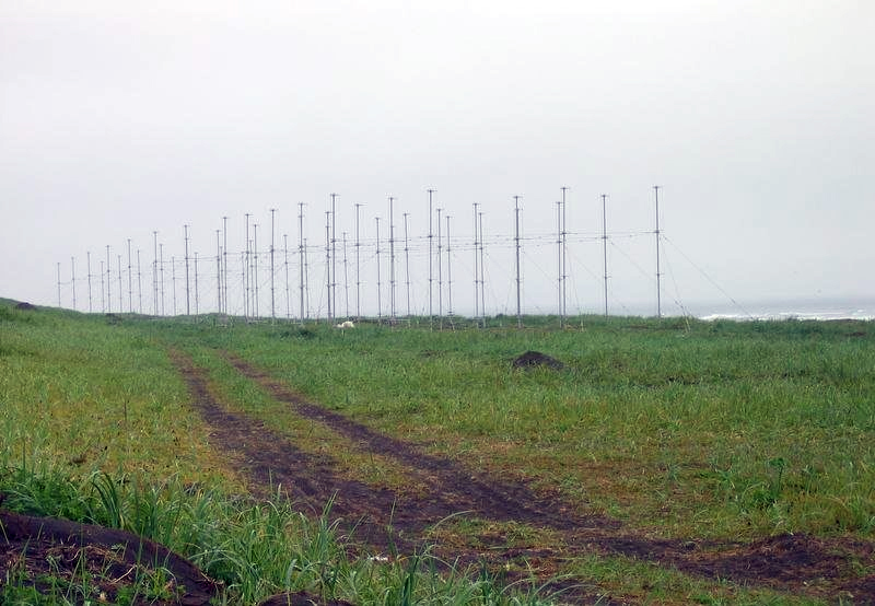 ”Подсолнух”