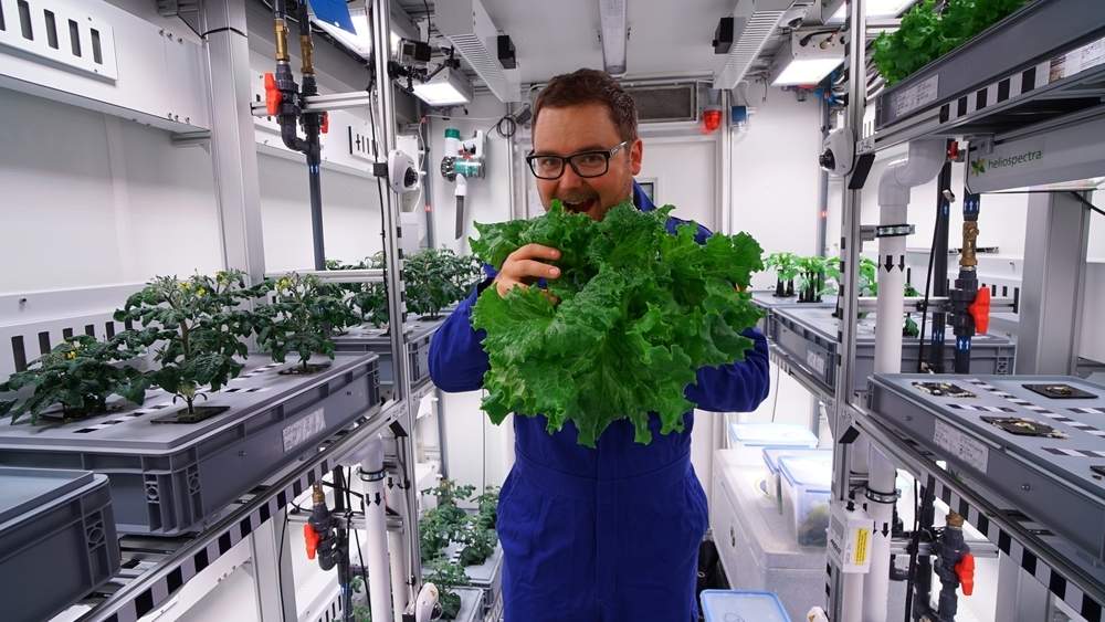 Първата зеленчукова реколта в Антарктида