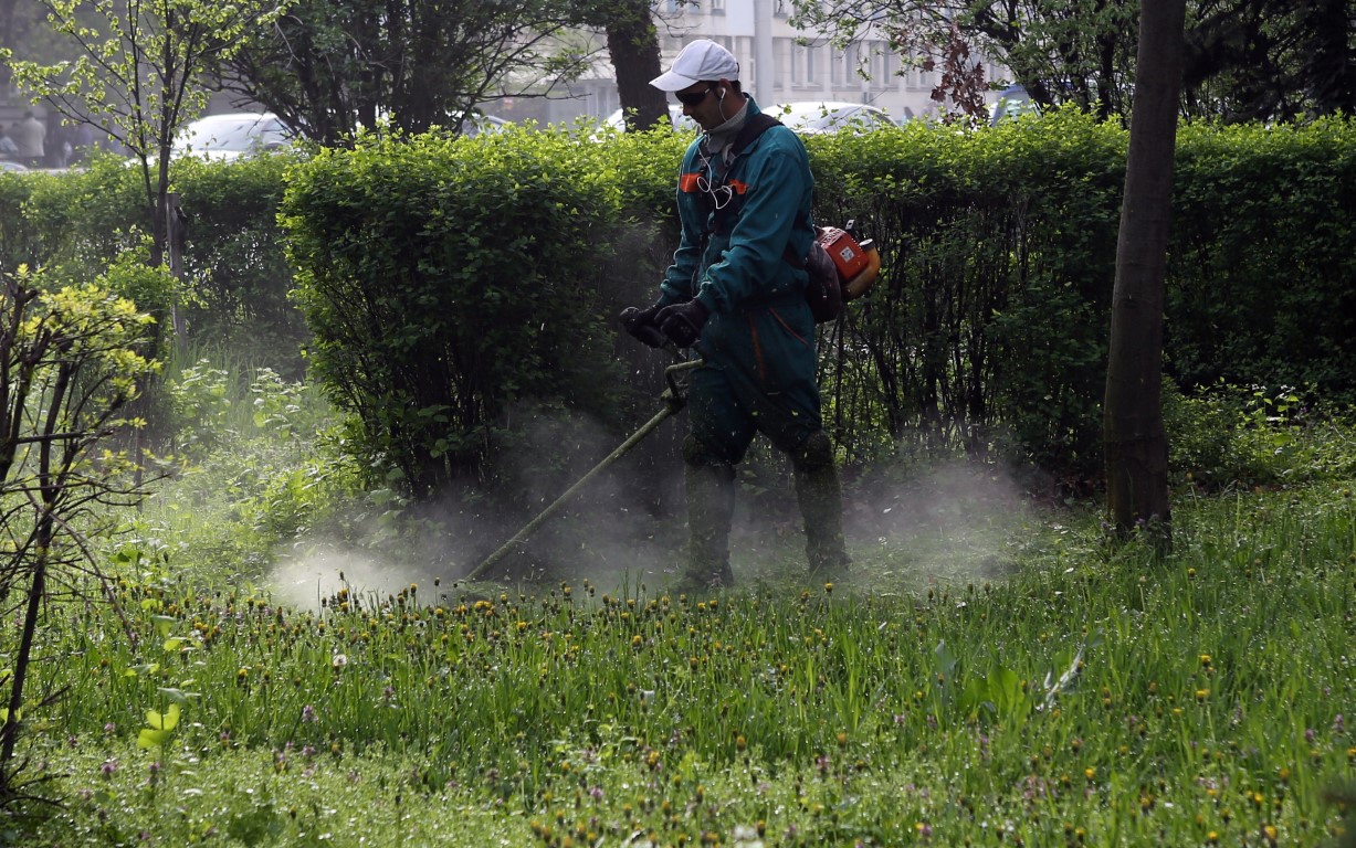 Работник коси избуялата трева в Борисова градина