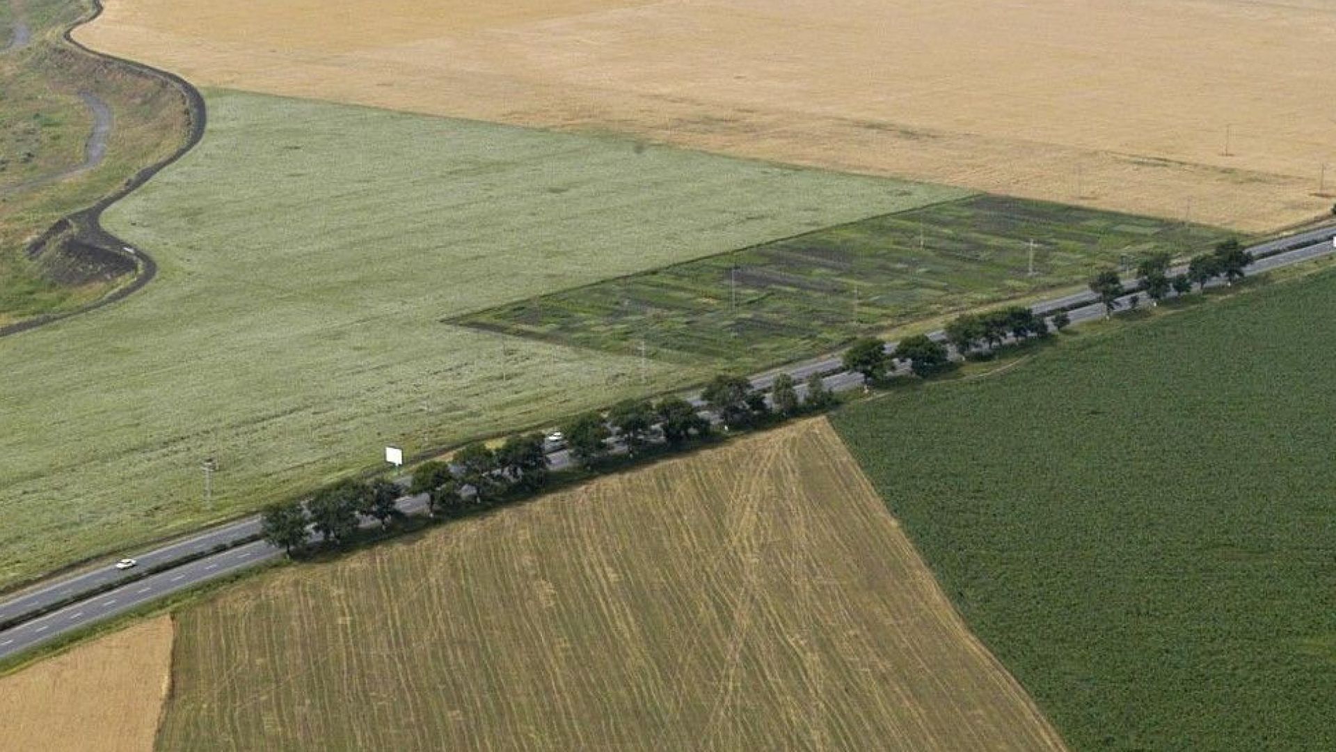 Проф Клаус Рот от мюнхенския университет Лудвиг Максимилиан дълго време