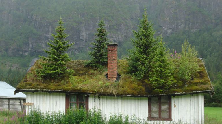 Скандинавски къщички с обрасли със зеленина покриви, в които ти се иска да заживееш