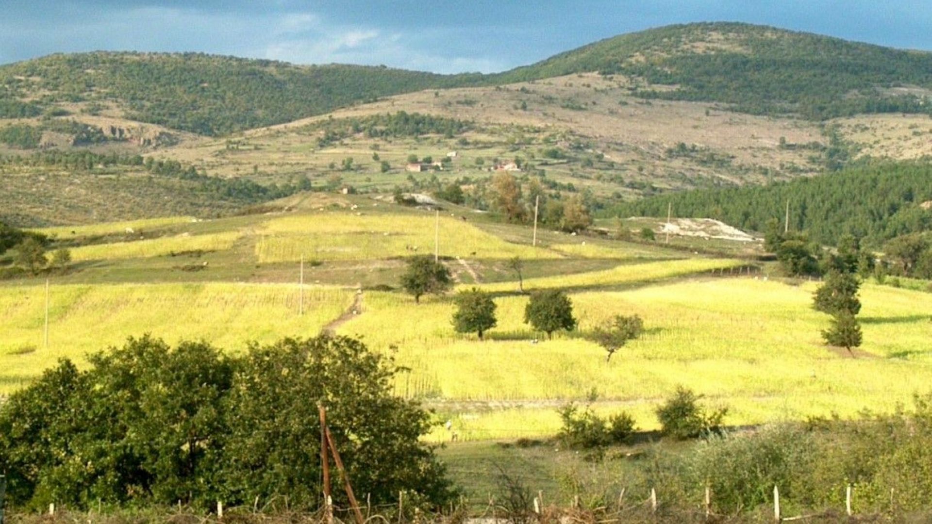 Земята в България поскъпна 4 пъти за 7 години