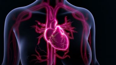 Специалистите на руската компания Кардиотехника и Института по теоретична и