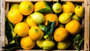  Двоен и троен скок на цените на портокали и лимони прогнозират учени
