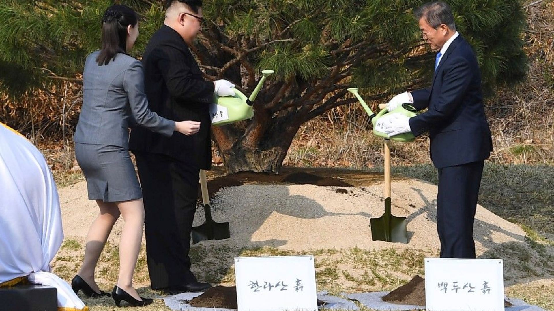 Ким и Мун подписаха декларация за "пълна денуклеаризация на Корейския полуостров"