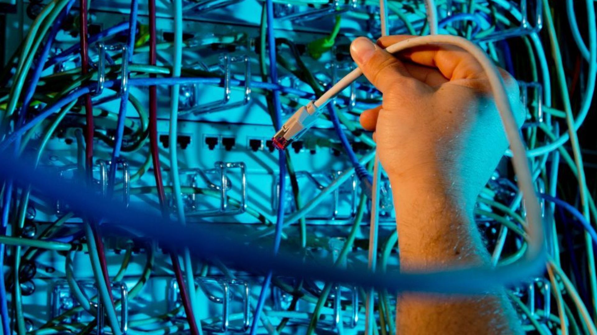 С по 240 000 заявки са били натоварени сървърите на