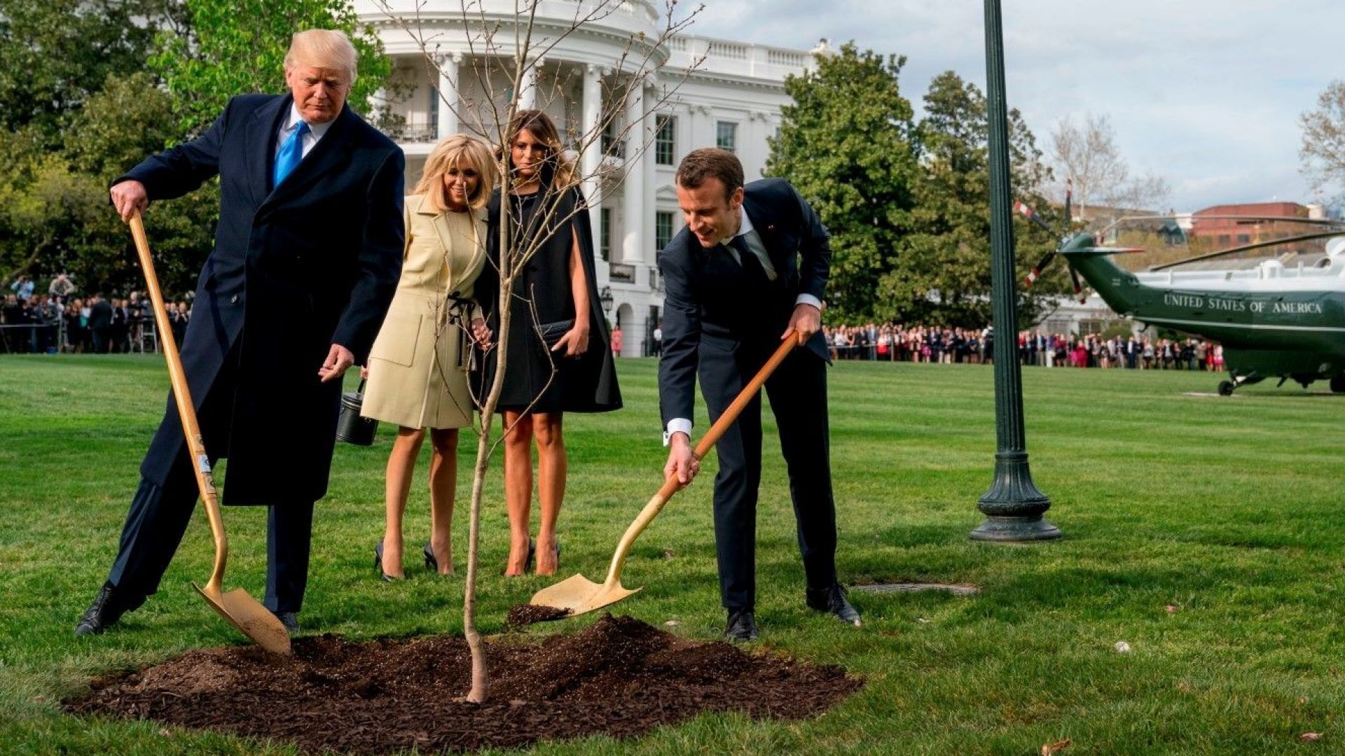 Дървото, което Тръмп и Макрон засадиха, е под... карантина