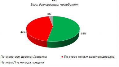 "Галъп": 43% от българите работят и са доволни