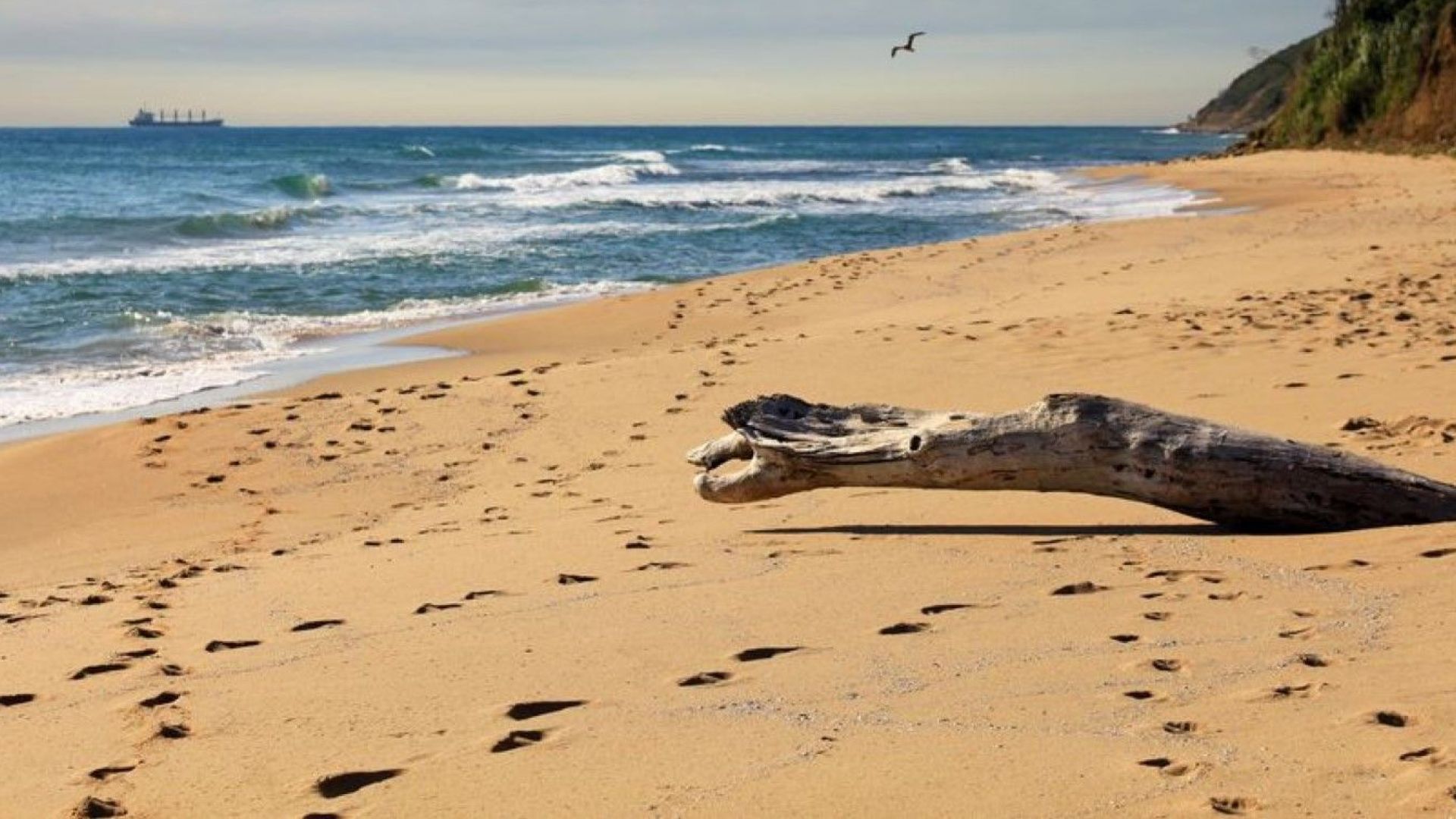 Трима души са се удавили в неделния ден съобщиха от