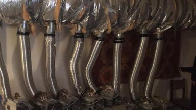 ЧЕЗ Разпределение България разкри поредна кражба на електроенергия от ферма