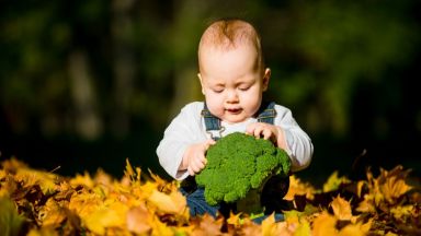 Диетолози препоръчват бебетата да бъдат захранвани с броколи и спанак