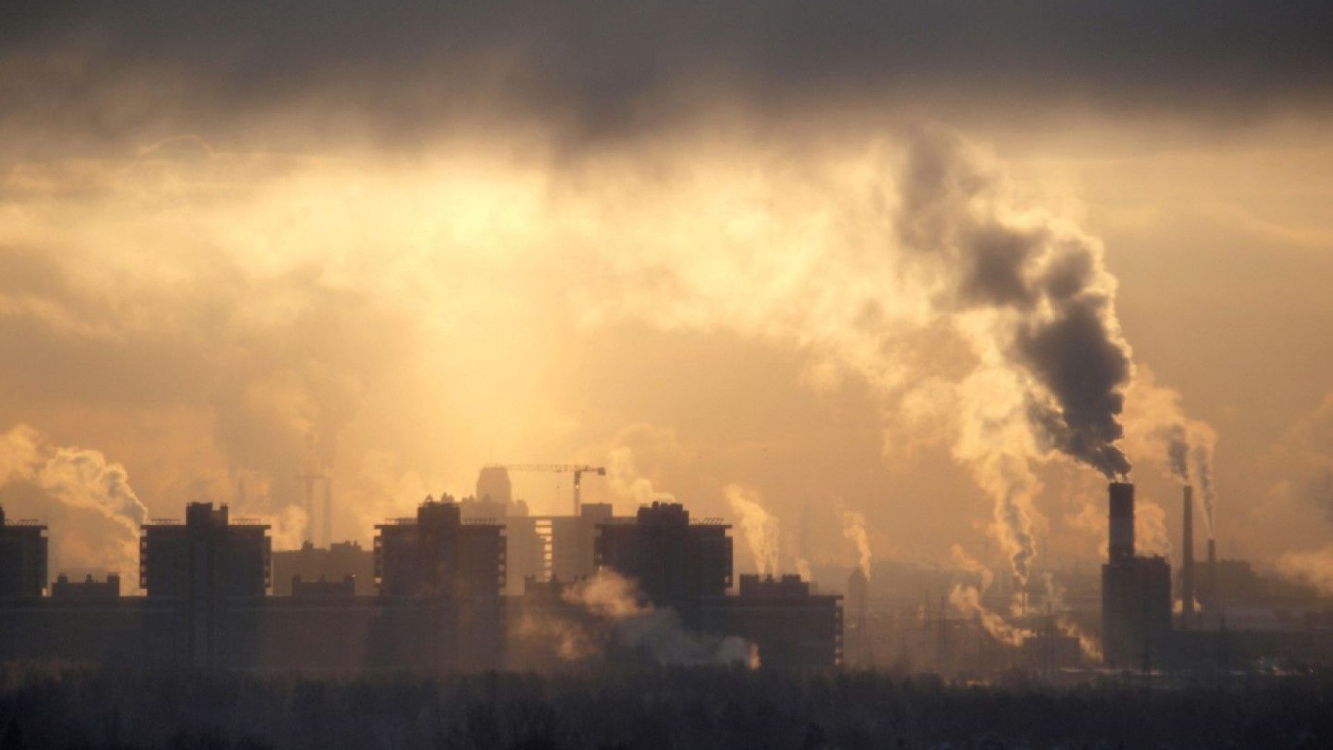 Замърсеният въздух убива 7 милиона души по света годишно