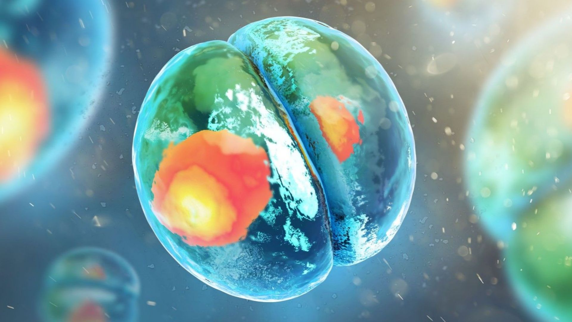 Учени създадоха синтетични ембриони