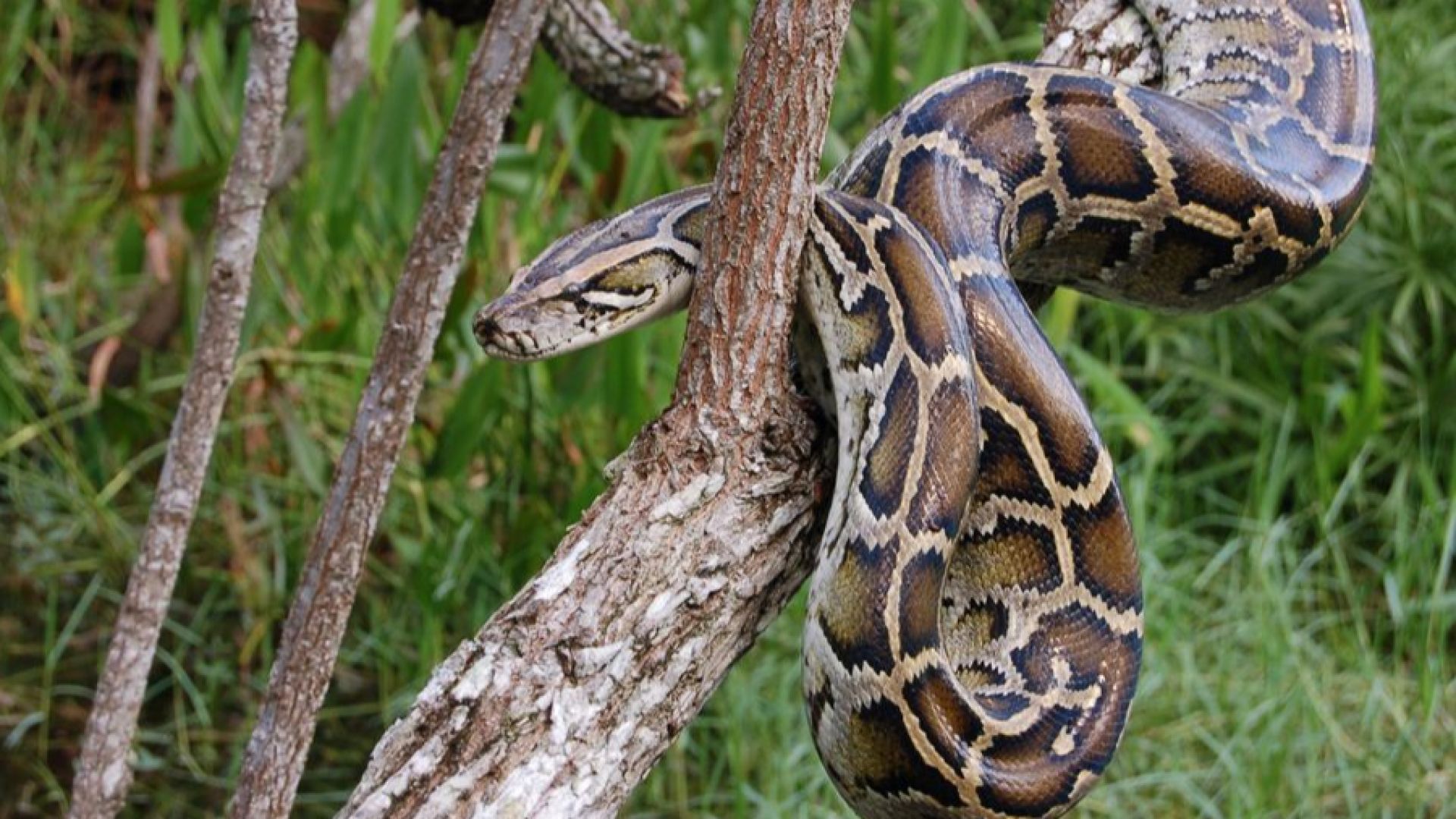 Български гражданин бе задържан на турския ГКПП Капъкуле след като