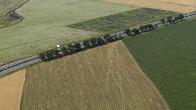 Компании от ЕС ще могат да купуват земеделска земя у нас