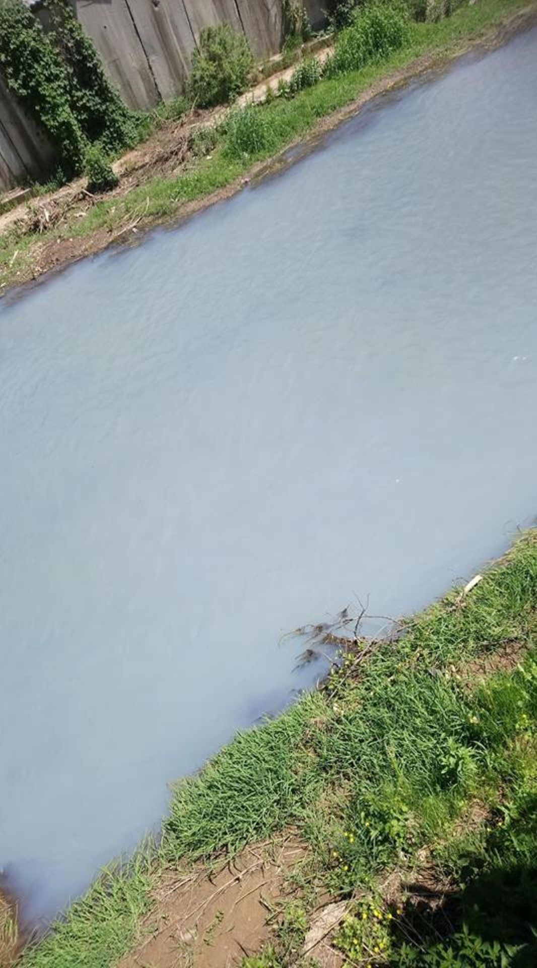 Река Ерма, в района на Трън, е замърсена