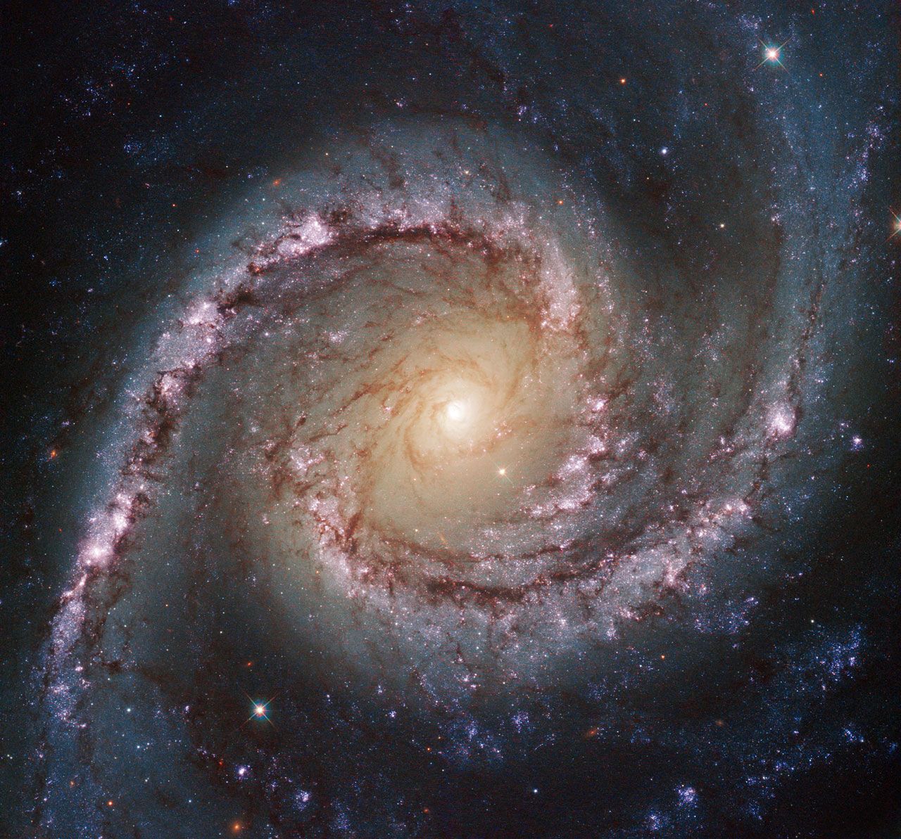 Галактиката NGC 1566