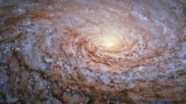 Учени: В галактиката ни има поне 36 извънземни цивилизации