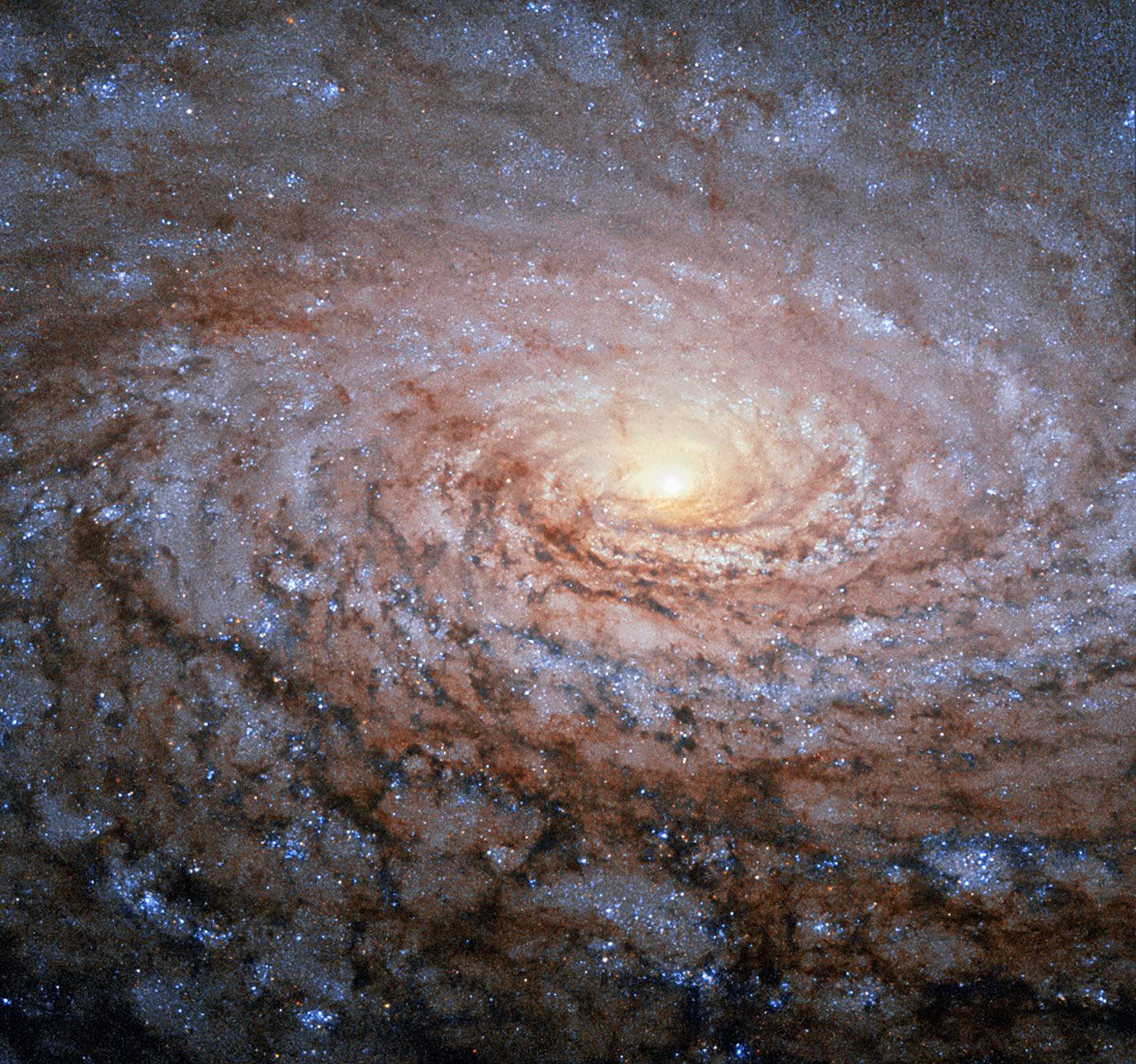 Спираловидната галактика Слънчоглед, позната и като Messier 63