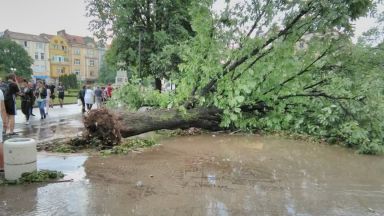 Премиерът прати вътрешния министър и шефа на пожарната в Плевен заради бурята