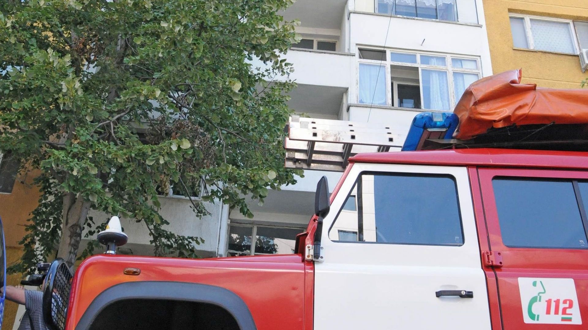 Огромно дърво падна върху кооперация в центъра на Пловдив Заради