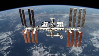 Изследват дали стволовите клетки се развиват по-добре в космоса
