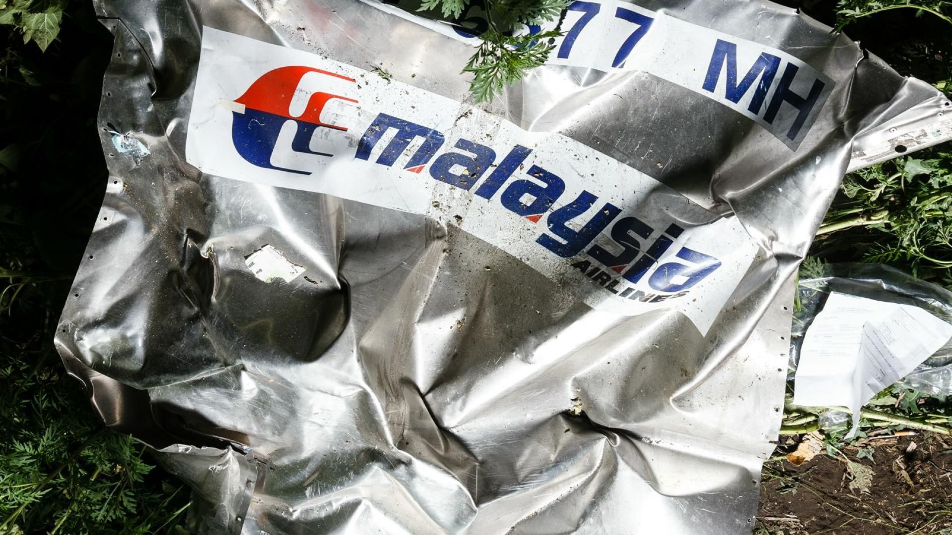 Семейства на загинали при свалянето на полет МН17 на Малайзийските