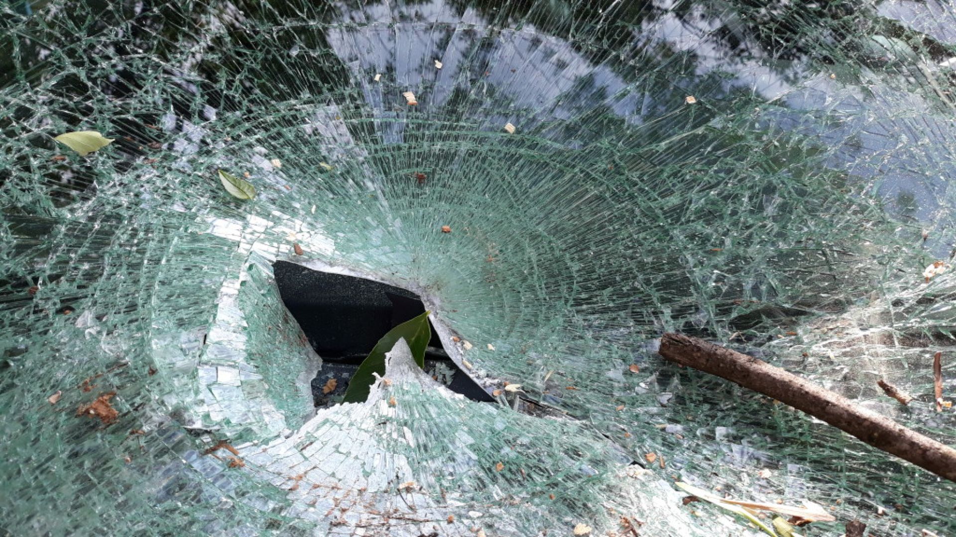 Двама мъже загинаха на място при тежка катастрофа в Плевенско