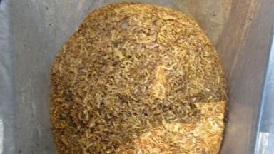 В хода на полицейска операция за активно противодействие на съхранението