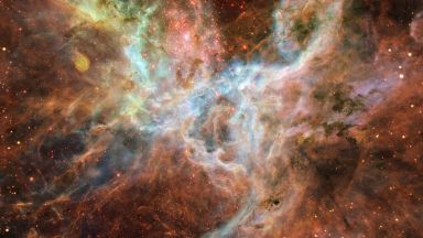 Мъглявината Тарантула разкри част от тайните на образуването на звезди