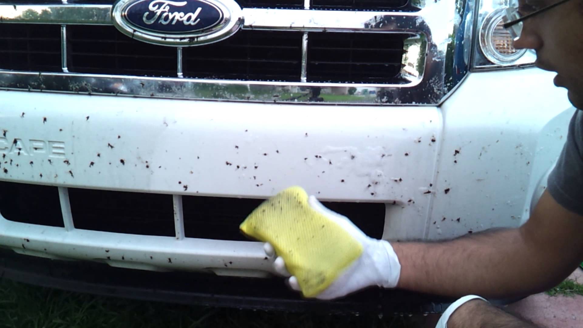 Как да премахнем насекомите от боята на колата?