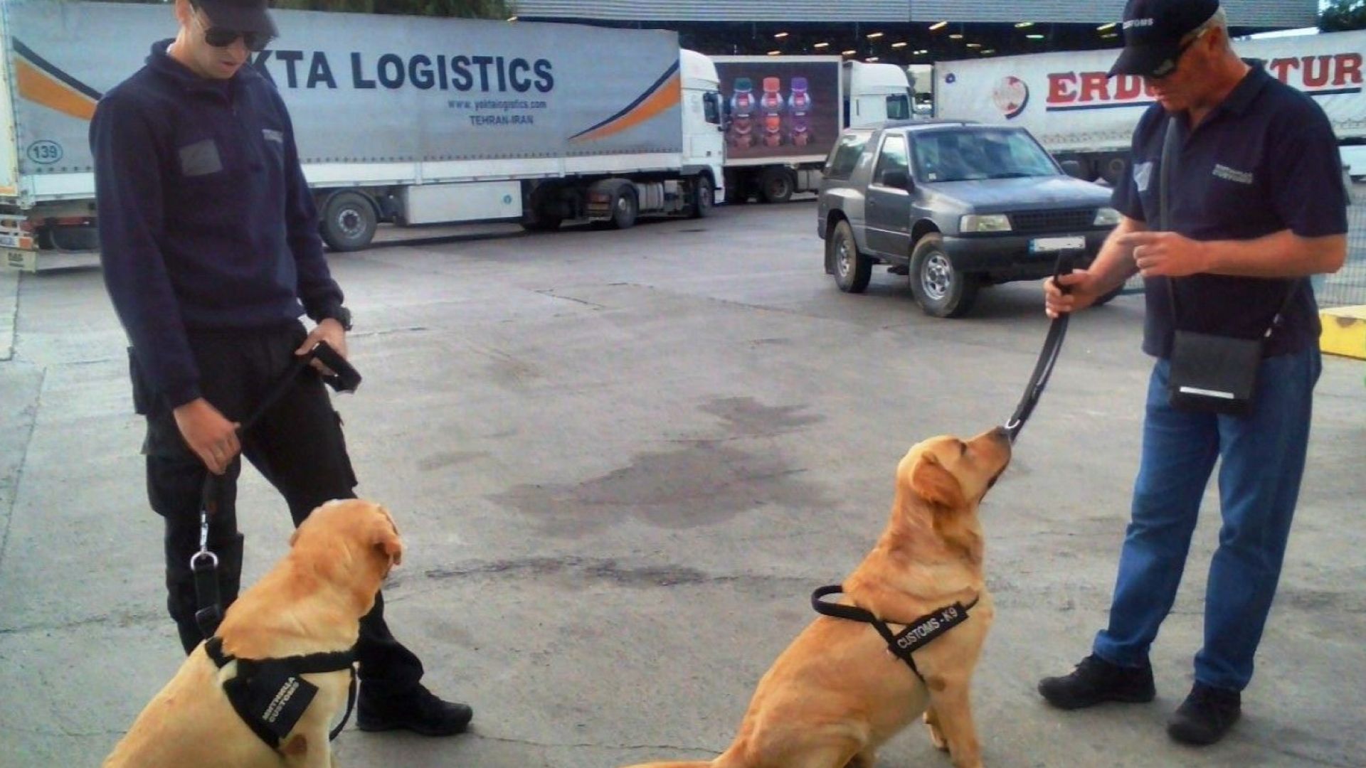 Митнически кучета ще разкриват контрабандни цигари на ГКПП Капитан Андреево 