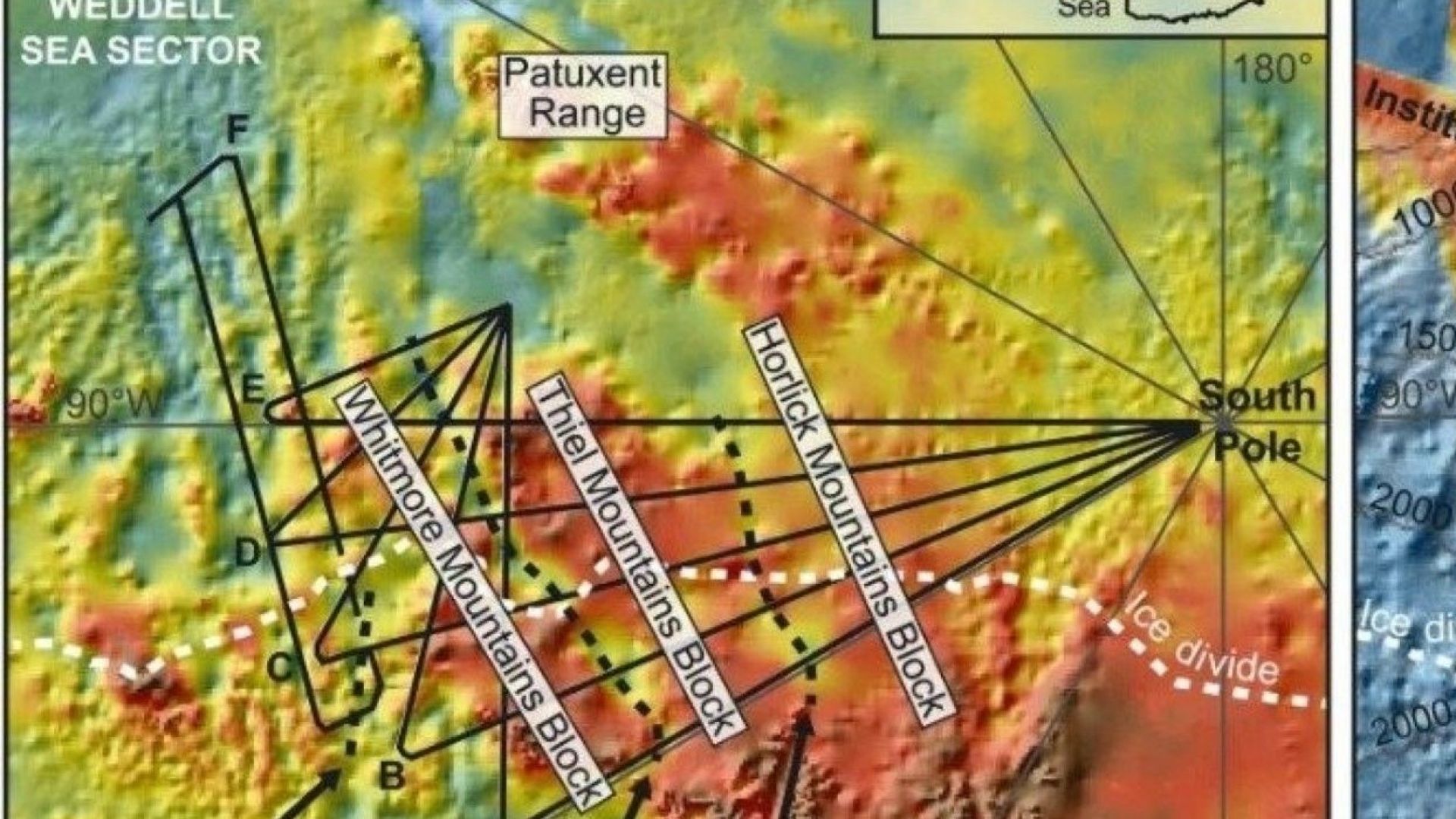 Учени се натъкнаха на фосилизирани следи от древна дъждовна гора