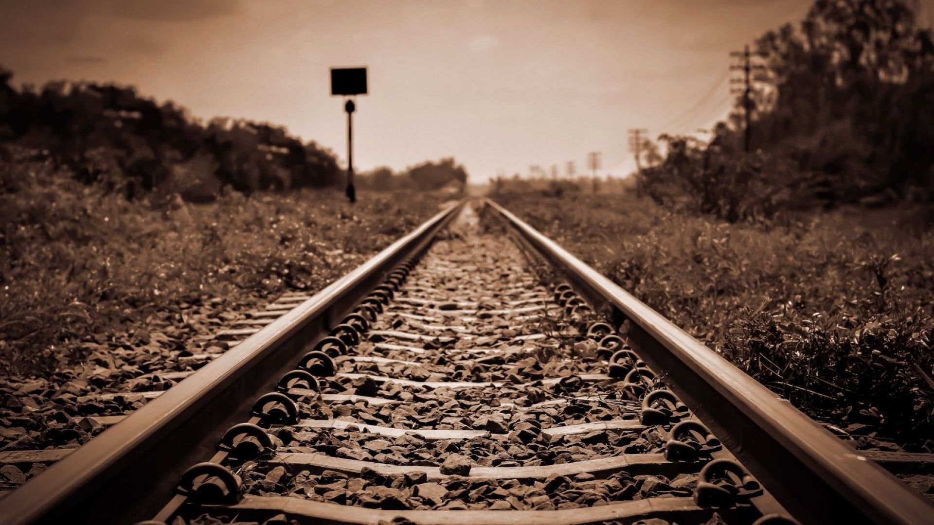 Кметовете на общините Пещера Брацигово Стамболийски и Кричим са изпратили