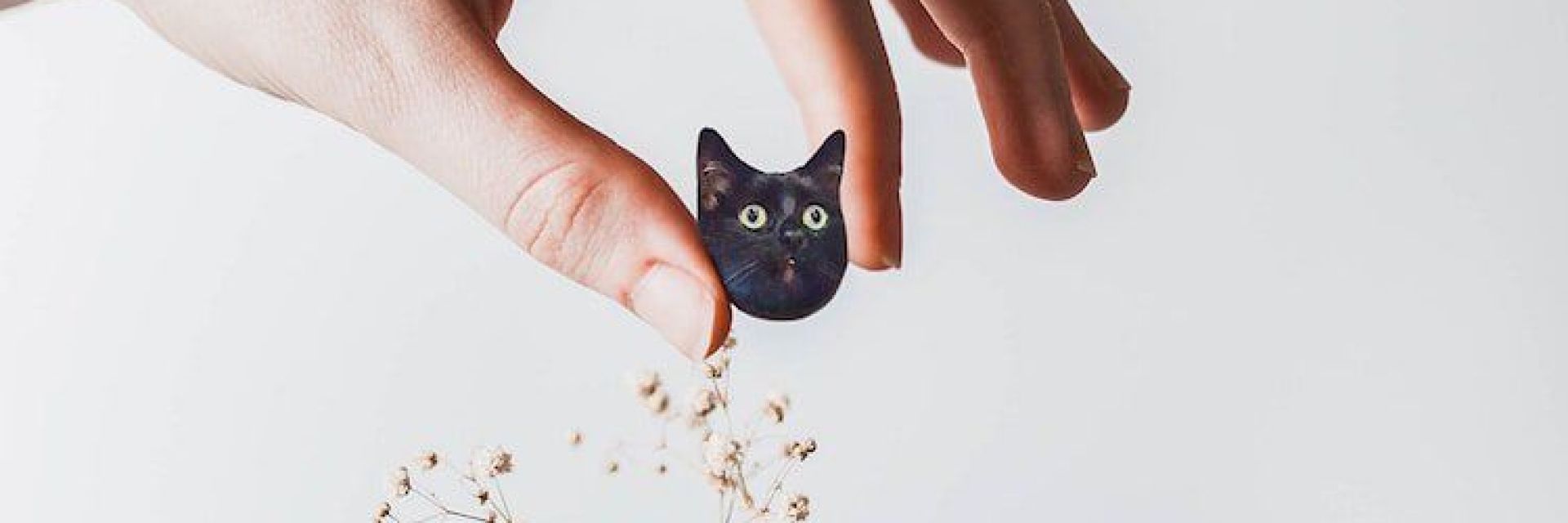 Котки - толкова сладки, че ти идва да ги изядеш
