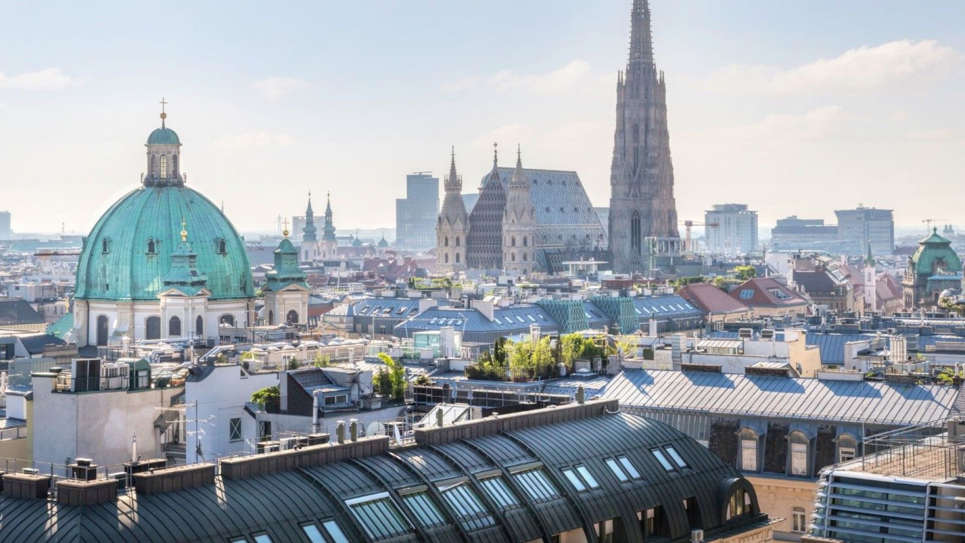 Виенчани ще гласуват за любимия си аромат който да бъде