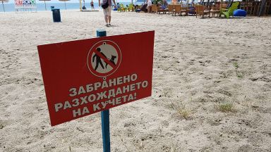 Край на разходките с кучета по плажа, нови правила и за шума във Варна