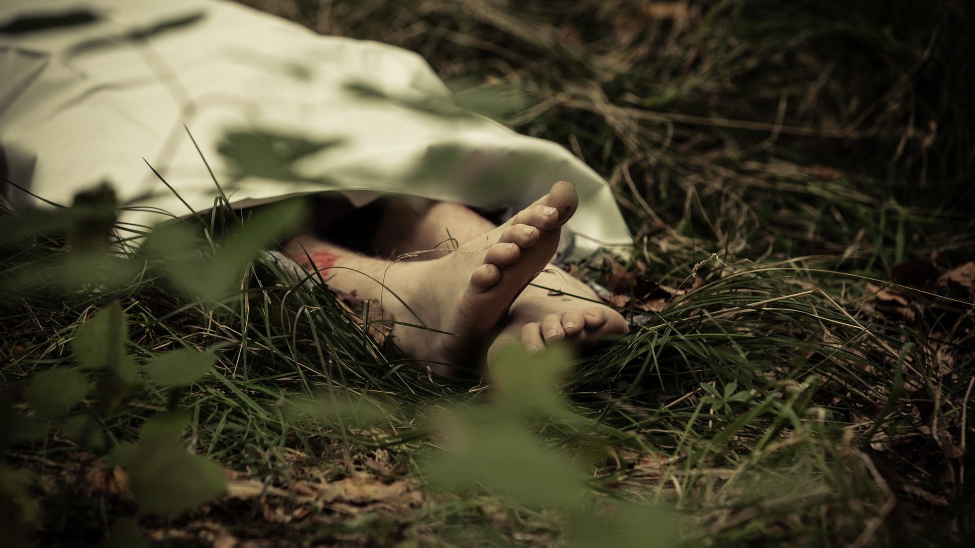 Убита жена и обесен мъж са открити в гора в Разградско