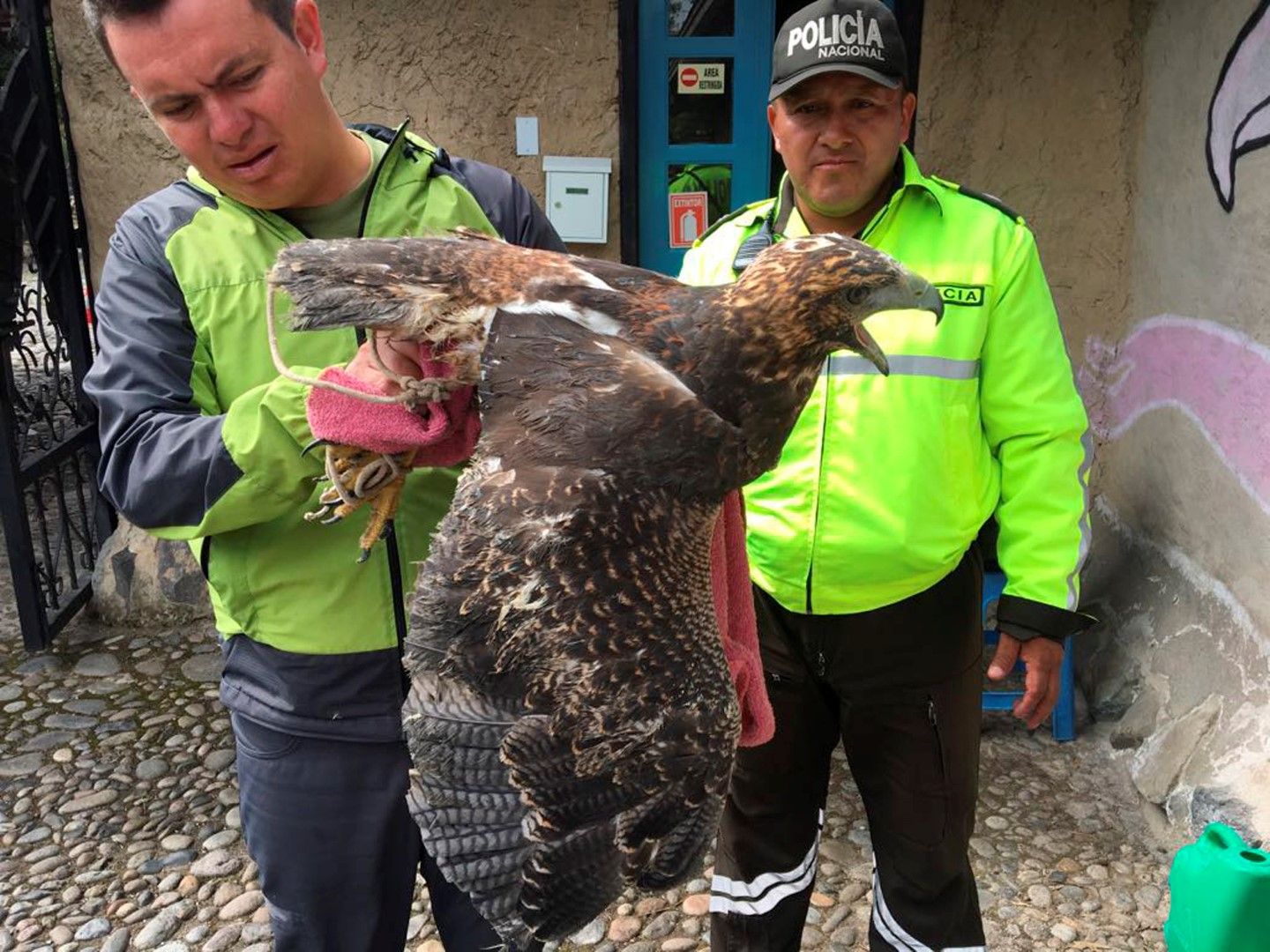 Полиция и природозащитници спасиха орел в Еквадор