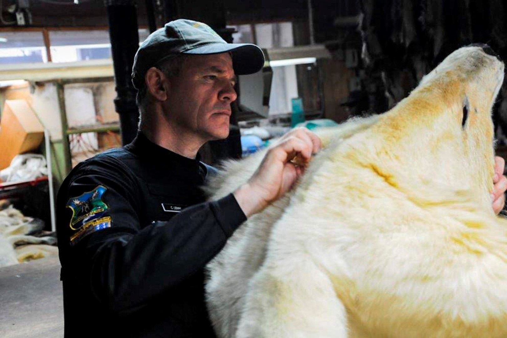 Бяла мечка, спасена в Канада