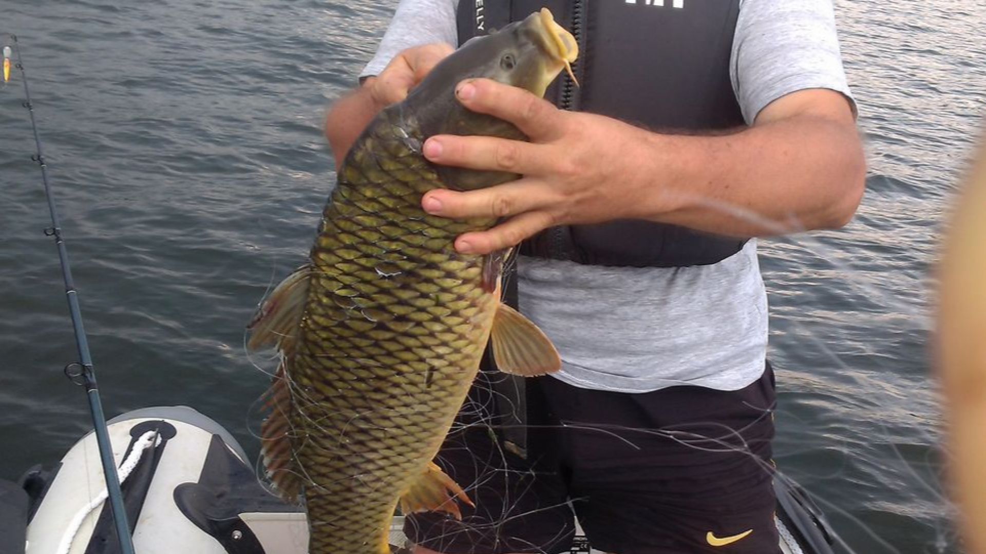 Българинът консумира най малко риба и рибни продукти а страната ни