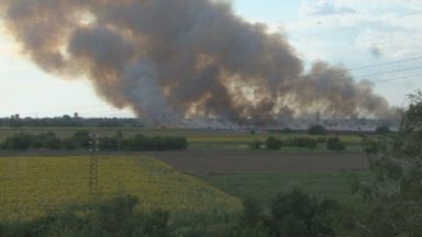 Голям пожар в покрайнините на Пловдив (видео)