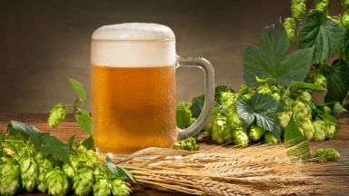 Днес отбелязваме Международния ден на бирата
