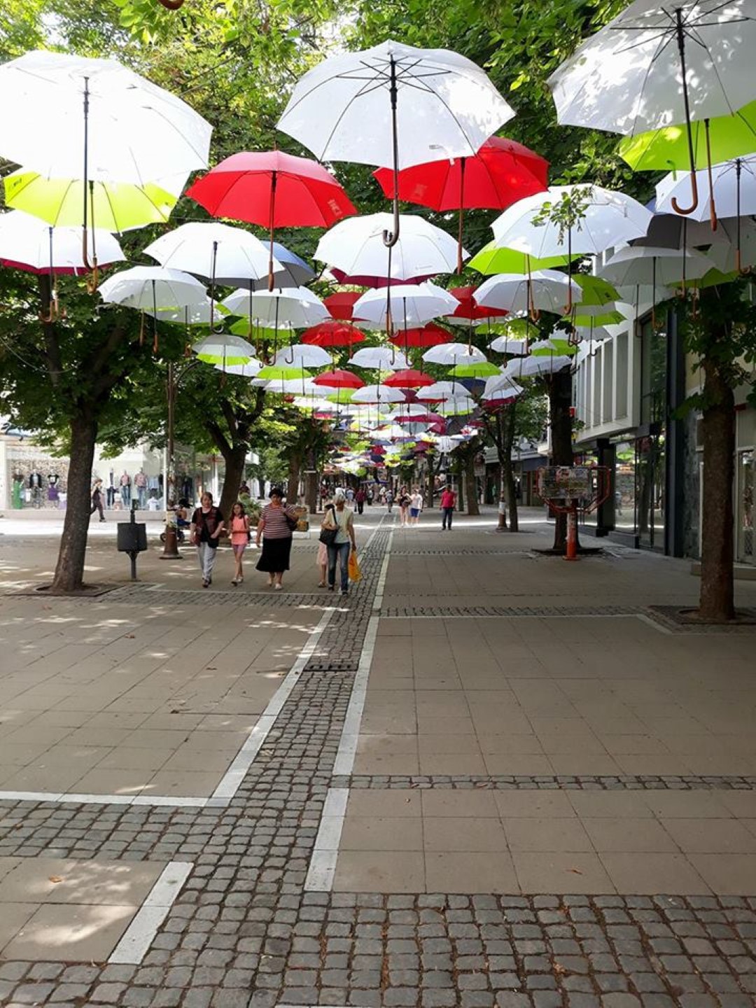 Как Благоевград стана градът на чадърите