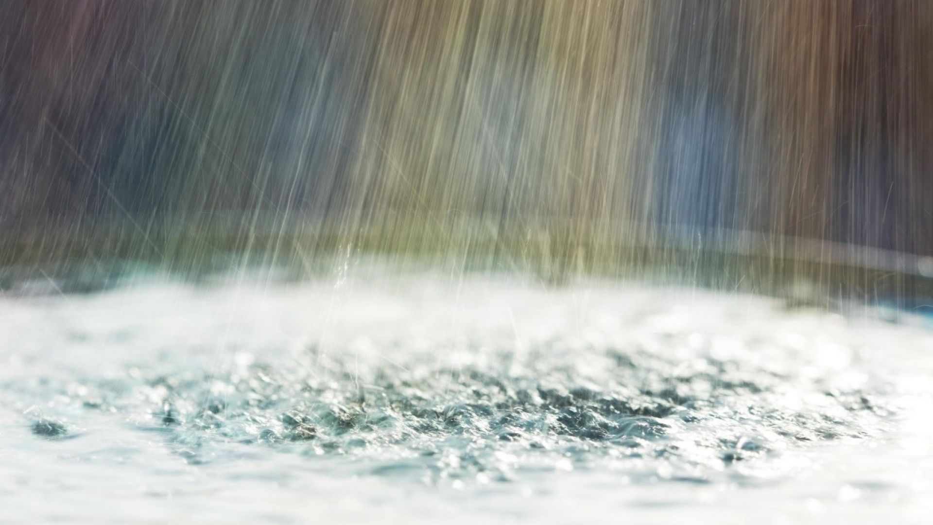 Националният институт по метеорология и хидрология НИМХ обяви за днес