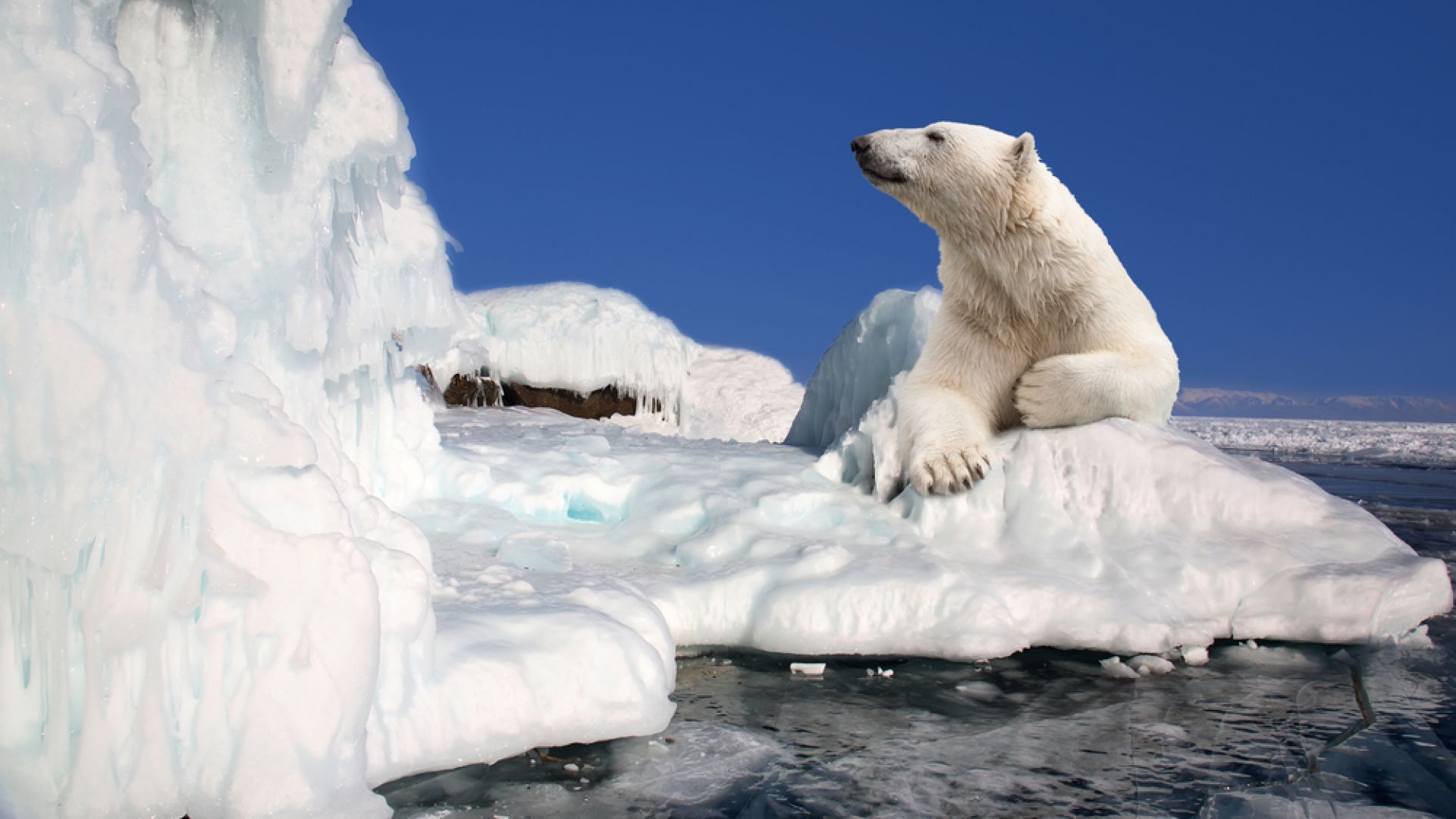 Митовете за климата: Ледът в Антарктика нараства