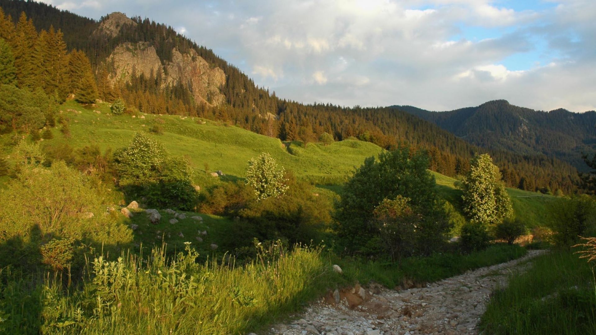 Тялото на единия от тримата безследно изчезнали мъже в Родопите