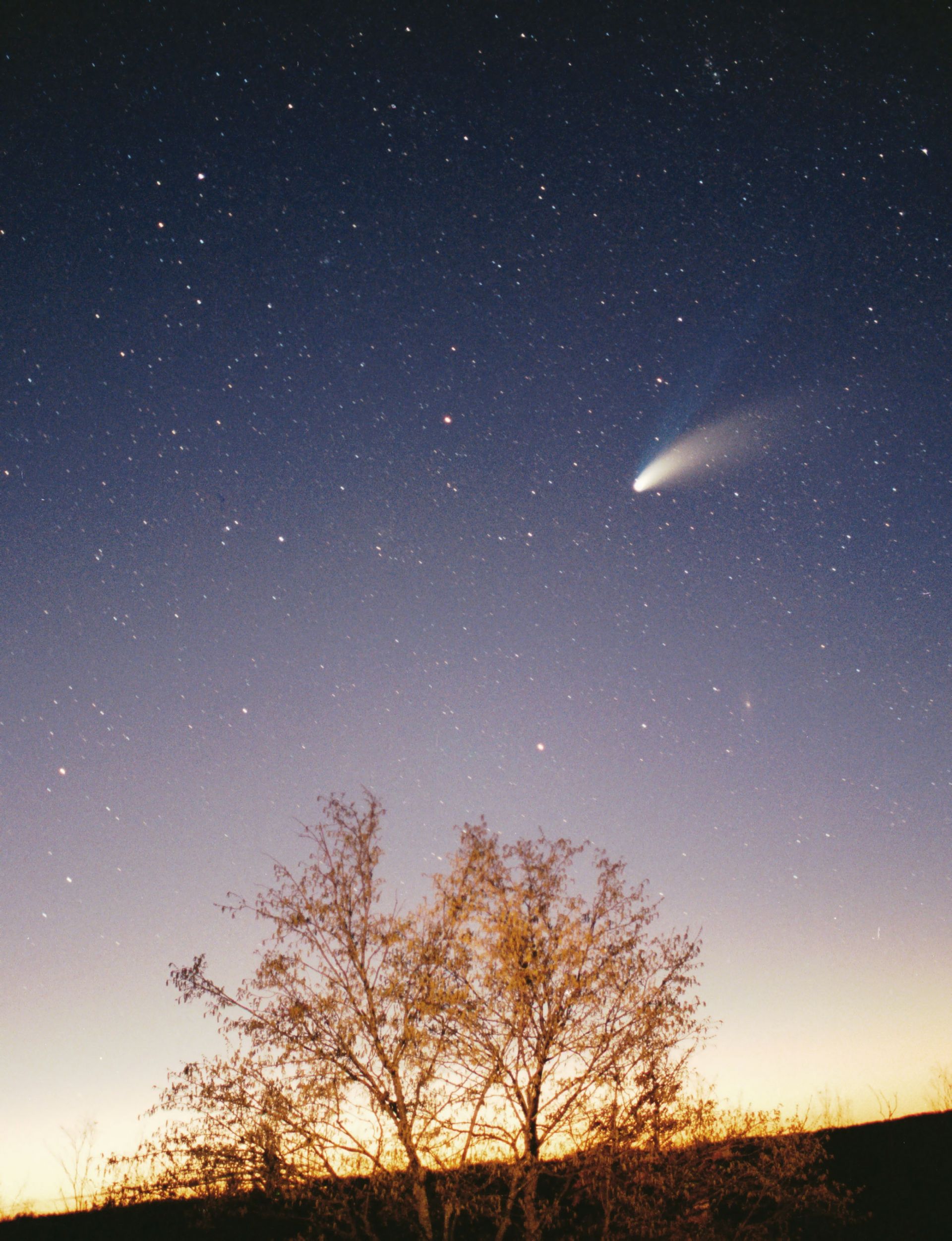 Кометата Хейл-Боп